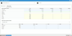 Employee monthly timesheet - summary