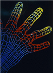 Geometria ruky
