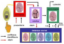 Princíp biometrického systému